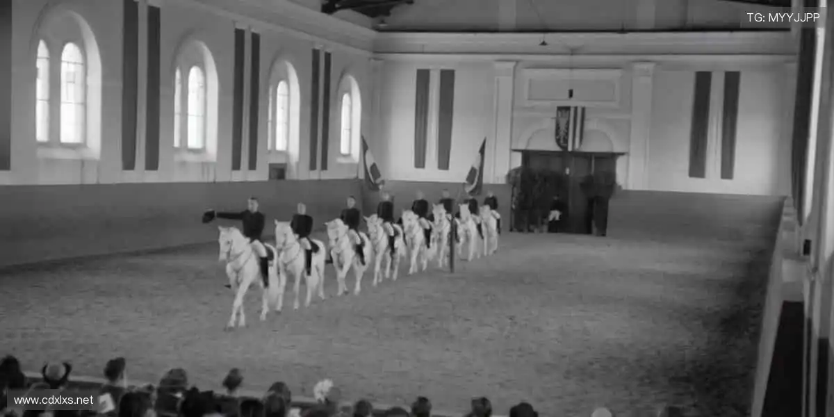 激情赛场，胜者为王！⚽️